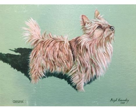 Nigel Kearsley, 1987, signed and dated, portrait of a terrier dog (Yorkshire?), “Crispin”, oil on board, 26cm x 30cm. Conditi