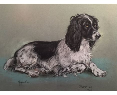 Marjorie Cox (1915-2003), signed and dated 1966, “Puffin”, portrait of a spaniel dog, pastels, 34cm x 46cm. Condition: framed