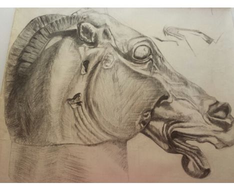 Belgian school, large mid 20thC art drawing of a stone horse head (believed to be a Parthenon sculpture - Chariot of Selene),