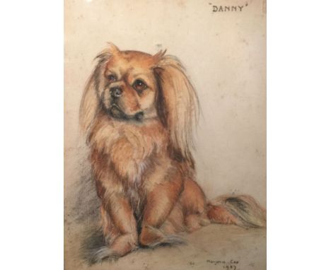 Marjorie Cox (1915-2003), signed and dated 1937, “Danny”, portrait of a Pekingese dog, pastels, 34cm x 46cm. Condition: frame