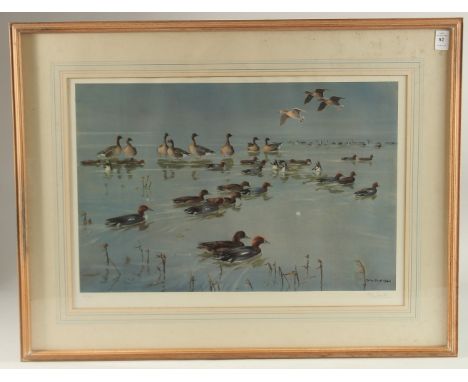 PETER SCOTT. Ducks on a Pond photolithograph. Signed in pencil and numbered 99/850, area inside mount 15" x 21.75" (38 x 55cm