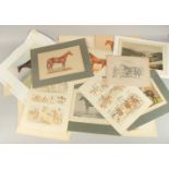 A FOLDER OF VARIOUS SPORTING COLOUR PRINTS, Famous Racehorses (28).