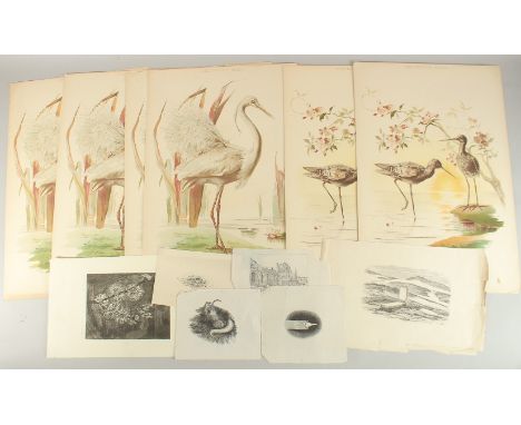 Rachel Roberts (20th Century) British. 'Epiphany Tree', etching, signed, inscribed, and numbered 2/100 in pencil, 7.75" x 6",