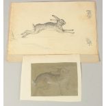 EARLY 19TH CENTURY ENGLISH SCHOOL. A Study of a Hare, pencil, unframed. 6" x 9.5" and another
