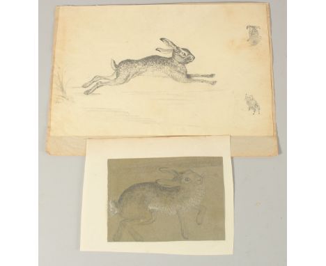 EARLY 19TH CENTURY ENGLISH SCHOOL. A Study of a Hare, pencil, unframed. 6" x 9.5" and another drawing of a hare (2).
