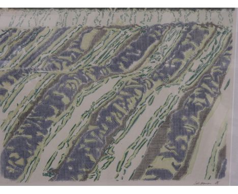 Søren Sterup-Hansen (Danish, 1943-2023): artist signed colour lithograph, dated 1988, image 60 x 48cm, overall 82 x 74cm. Ste