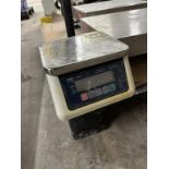 A&D SJ-6000WP Washdown Scale