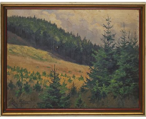 von Aster, Ernst Ludwig (1902 Goslar 1986) "Am ...berg bei Goslar", so rückseitig betitelt und dat. 1927. Öl/Karton, li. u. s