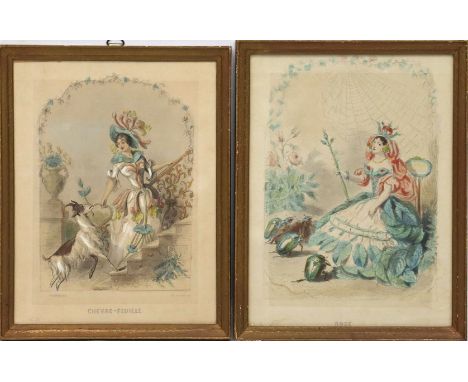 2 kolorierte Lithographien (19. Jh.) "Rose" und "Chefre-Feuille", so jeweils bez. Gebräunt. Je im R. Gesamtmaß je ca. 22,5x 1