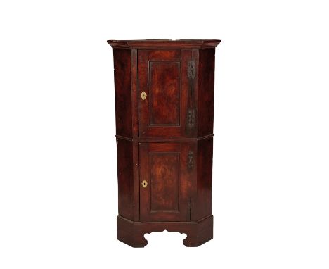 GEORGE III FRUITWOOD STANDING CORNER CUPBOARD of diminutive proportions, with two rectangular-panelled cupboards on "H"-hinge
