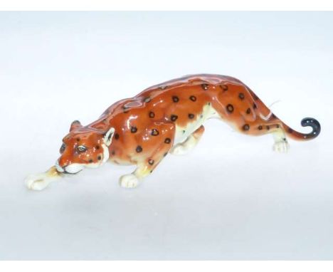 Goebel leopard