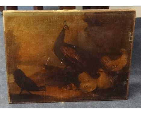Pair of wildlife paintings and print on board