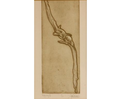 John W. Mills (1933-2023), 'Flying 1 1/2',Etching, No.3/50, Signed, 39cm x 22cm, Framed and glazed
