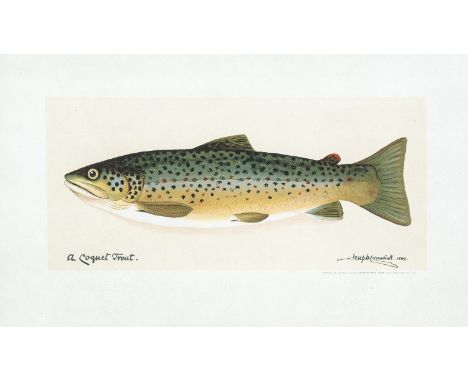 Crawhall II (Joseph), After. A Coquet Trout, lithograph printed in colours, sheet 265 x 455 mm (10 1/2 x 17 7/8 in), under gl