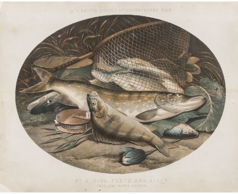 NO RESERVE Rolfe (Henry Leonidas) No.2. Pike, Perch, and Roach from the River Loddon, from 'Studies of Fresh-Water Fish', ova