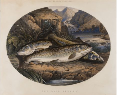 Rolfe (Henry Leonidas) Rolfe's Angling Sketches. 'Not Long Caught', oval lithograph printed in colours by J West Giles, an ex