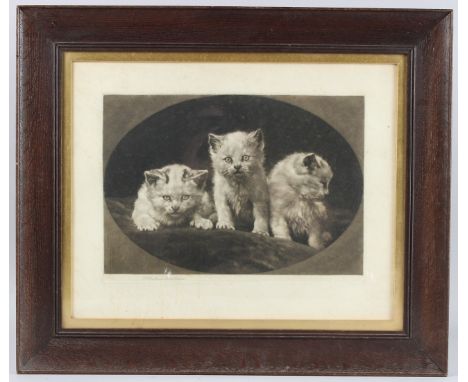 HERBERT DICKSEE (1862-1942) 'Three Kittens' mezzotint, signed in pencil, plate 25cm x 35cm