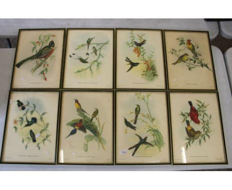 Eight framed Victorian bird prints: (8). 