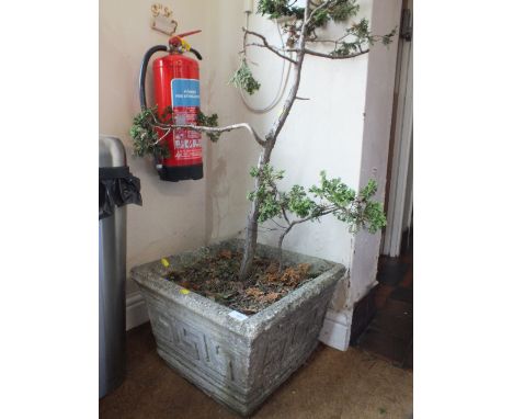 A SQUARE STONE PLANTER WITH LINE DESIGN & A TREE