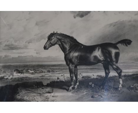 Hullmandel after James WardmezzotintPortrait of the racehorse 'Monitor' 182538 x 48cm