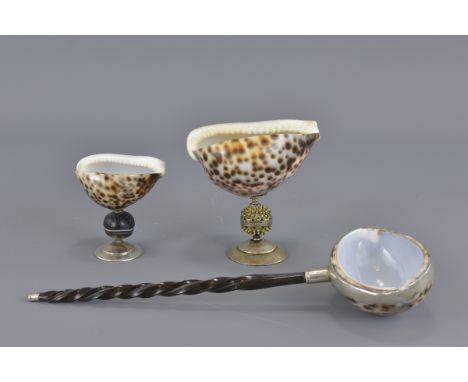 Two shell salts together with one sheel ladle. 9cm height, 6.5cm height and 23.5cm length