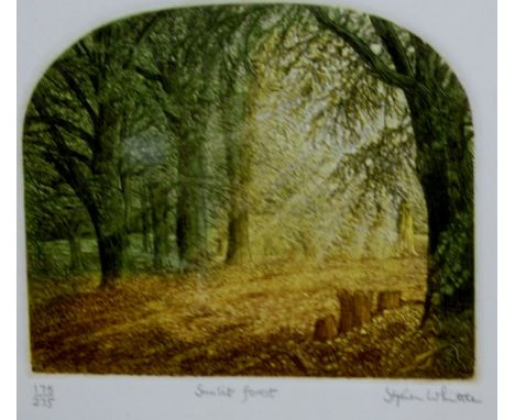Stephen Whittle - Sunlit forest, coloured etching, signed, and titled in pencil to the margin, 15 x 18.5cm; and two others by