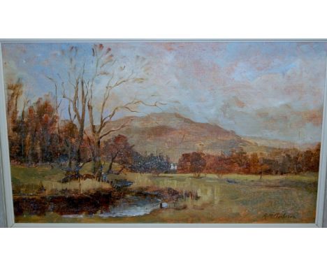 R M Tomlinson - Landscape scene, oil on artists board, signed lower right, 37 x 61cm; and C Watson - Waterfall scene, oil (2)