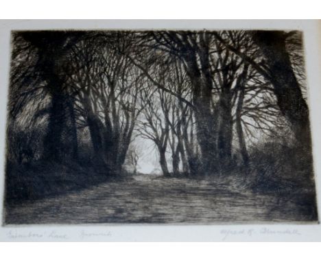 Alfred Blundell (1883-1968) - Gainsborough Lane, Ipswich, etching, signed and titled in pencil to the margin, 12.5 x 17.5cm; 