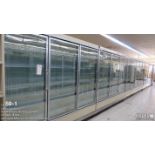 Tyler (16) Swing Glass Door (31") Commercial Merchandiser Freezer D5FGL8GD (40ft X 44" X 81")