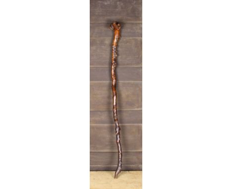A Fine Early Rootwood Walking Stick. This rustic one piece cane having a carved handle in the form of a King Charles Spaniel'