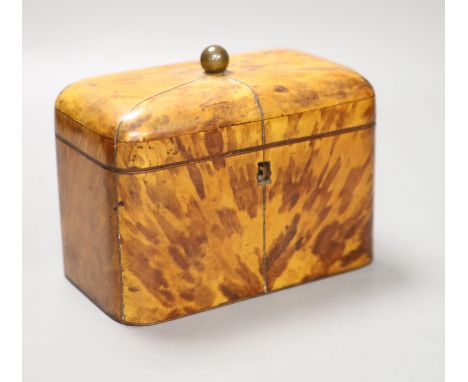 A Regency blond tortoiseshell tea caddy, length 17cm