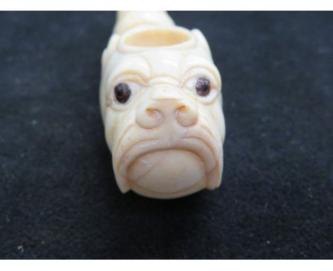 Bone dogs head pipe 