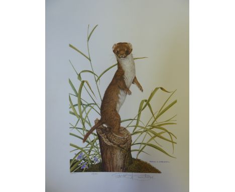 Patrick A Oxenham 'Weasel' signed and numbered print edition no. 69/500, reproduced and hand proofed by Hanslip and Trout Ltd