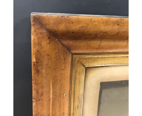 19th Century English School. A Maple Frame with a Gilt slip, and inset Print, 33" x 23" (rebate).