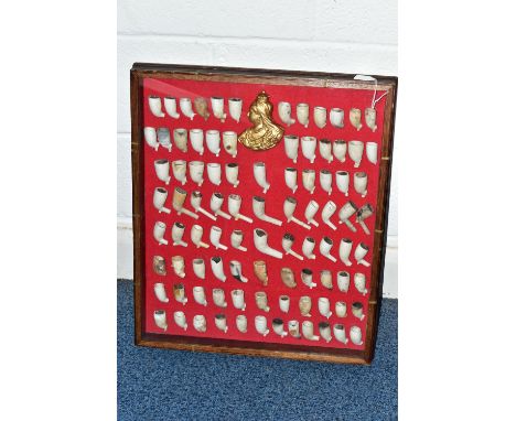A MODERN GLAZED DISPLAY CASE CONTAINING NINETY ONE MOUNTED CLAY PIPE BOWLS AND A GILT SIDE PROFILE PORTRAIT OF QUEEN VICTORIA