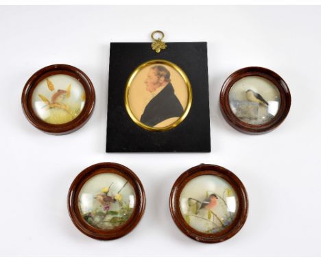 H E Hervey R.M.S. A collection of four diorama nature studies each diorama in wooden frame with domed glass cover 9cm dia. to
