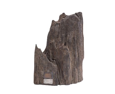 A section of timber from the 17th century Dutch warship 'Rikswasa' (Royal Wasa), the water stained and eroded timber with sil