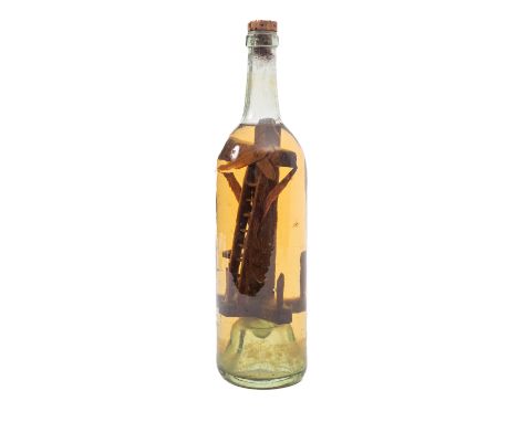 A late 19th Century Folk Art 'God in a Bottle', 33cm high