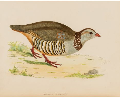 Birds.- Morris (Beverley R.) British Game Birds and Wildfowl, first edition, 60 hand-coloured plates, 1 becoming loose, tissu