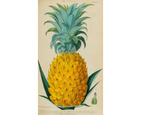 Gardens.- M'Intosh (Charles) The New and Improved Gardener, and Modern Horticulturist, hand-coloured engraved frontispiece an