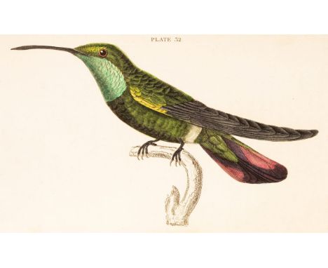 The Naturalist's Library. Jardine (Sir W) Hummingbirds, 2 vols., Edinburgh 1833/see illustration CONDITION REPORT: 2 VolsOver