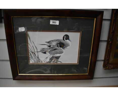 A framed and glaze print, 'Pintail Pals'.