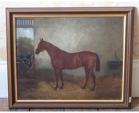 English School, late 19th Century, a portrait of a hunter in a stable with a saddle cloth in the background, 40cm by 50cm, fr