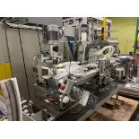 2016 Wild Goose Canning WGC 250 4 Head In-Line Can Liquid Filler