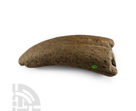 Pleistocene Period, 40,000-20,000 B.P. Comprising the curved tip of a horn, possibly from aurochs, an extinct species of bovi
