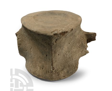 Miocene Period, Yorktown Formation, circa 23-5.3 million years B.P. Showing the edges of the neural arch and the base of tran
