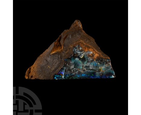 Chocolate-brown matrix with vibrant opal inclusions, collection number 411.  47.4 grams, 43 mm (1 5/8 in.). [No Reserve] Acqu