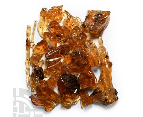 Carboniferous Period, over 3 million years B.P. Comprising twenty-eight pieces, some with insect inclusions.  105 grams total