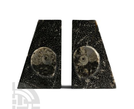Devonian Period, circa 400 million years B.P. Comprising two quadrilateral bookend carved from fossiliferous stone, each set 