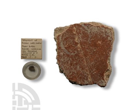 3rd-4th century A.D. Wall-plaster fragment with remains of laths to the reverse, dressed surface with painted red and white d